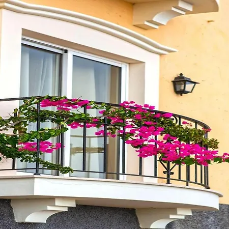 Bougainvillea Villa Palheiro Ferreiro