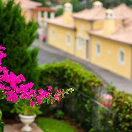 Villa Bougainvillea Palheiro Ferreiro